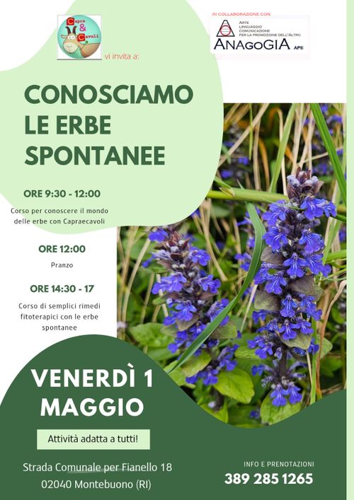 Laboratorio di rimedi fitoterapici Capraecavoli